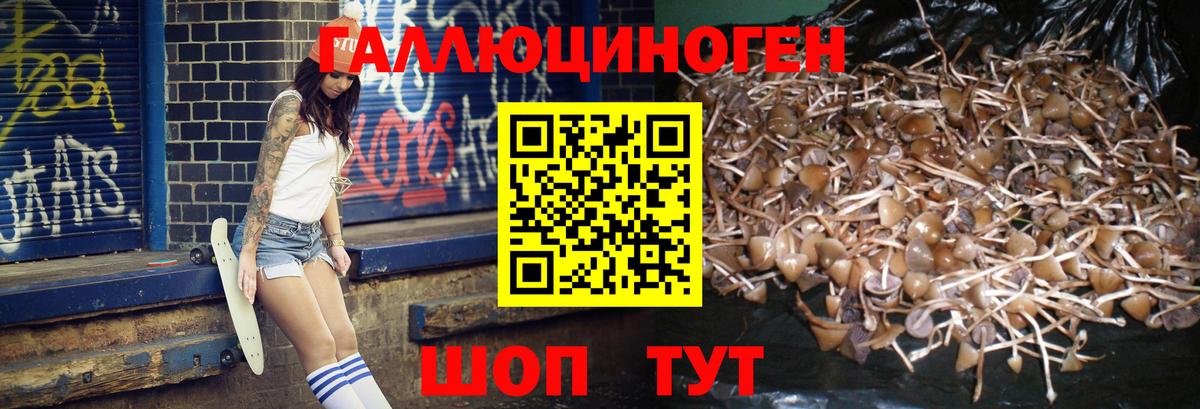 Галлюциногенные грибы прущие грибы  Вход с VPN  Омск 